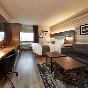 book here